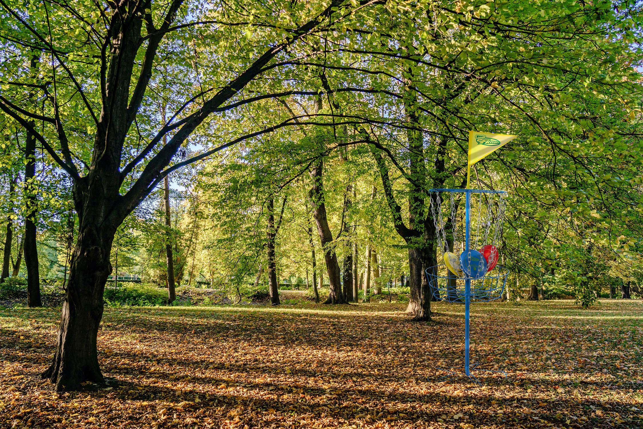 53311OPTIMAGEWOODS - Wham-O