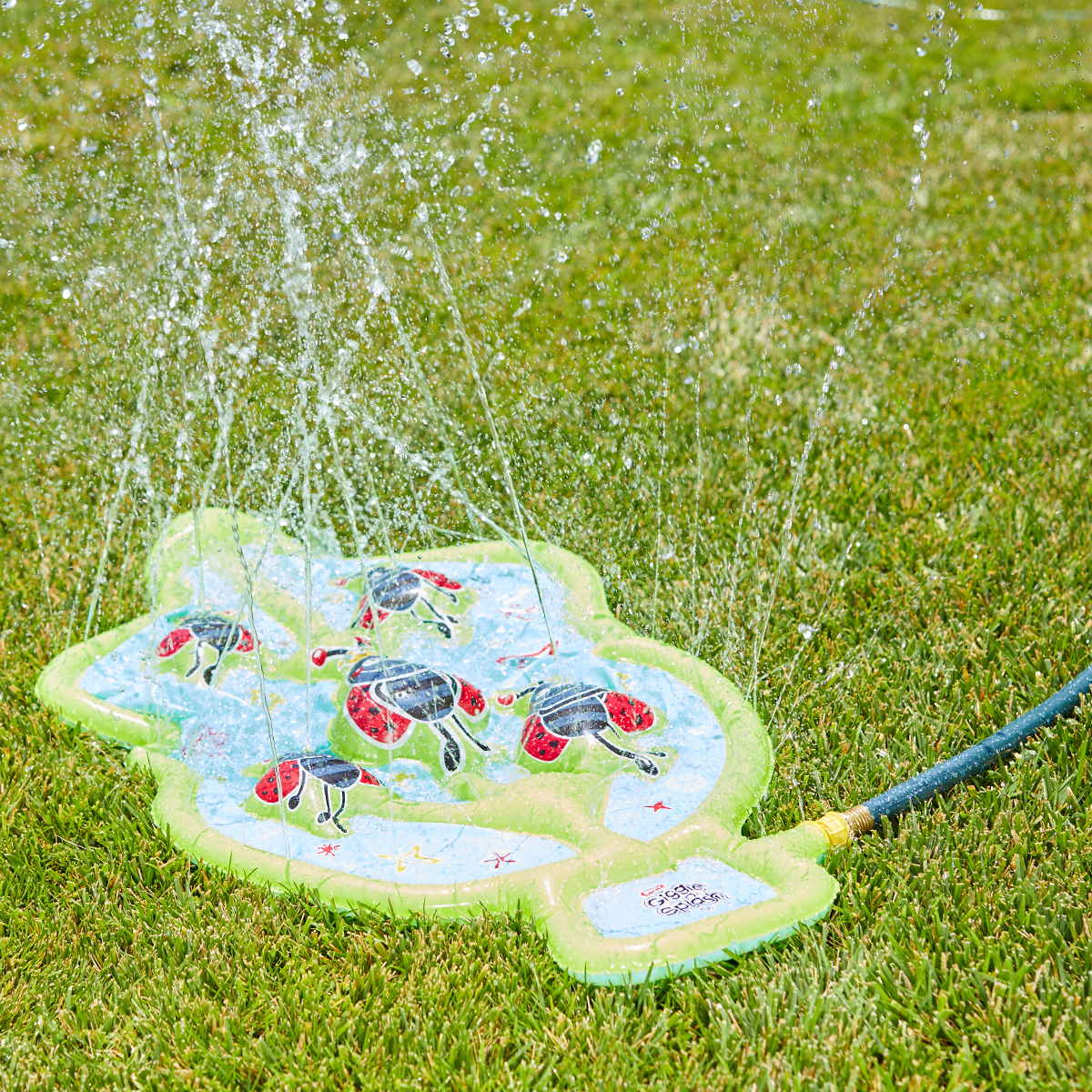 61354-Ladybug-splash-mat-product-shot-1 - Wham-O